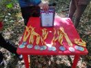 Первенство города Ставрополя  и 3-й этап Кубка города Ставрополя по спортивному ориентированию