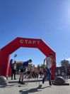 День города Ставрополя 2026